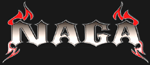 North American Grappling Association